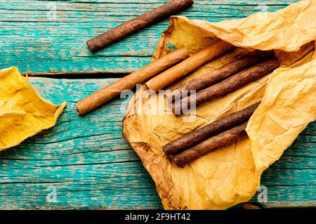 Zigarillos und trockenes Tabakblatt auf Holzhintergrund Stockfoto