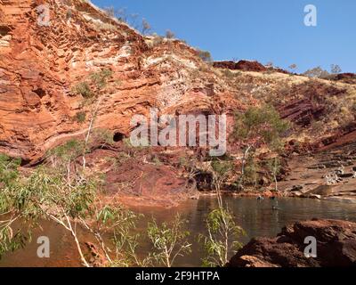 Gefaltete Gesteinsschichten und bissiger Kaugummi, Hamersley Gorge, Karijini-Nationalpark, Westaustralien Stockfoto