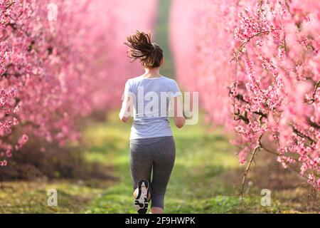 Rückansicht einer Läuferin, die beim Durchlaufen Sport übt Ein rosafarbenes Blumenfeld im Frühling Stockfoto