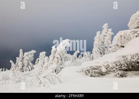 Landschaft im Winter. Großer Arber, Böhmerwald, Bayern, Deutschland Stockfoto
