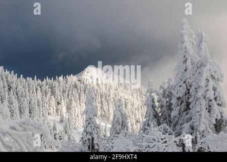 Landschaft im Winter. Großer Arber, Böhmerwald, Bayern, Deutschland Stockfoto