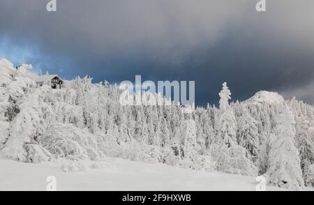 Landschaft im Winter. Großer Arber, Böhmerwald, Bayern, Deutschland Stockfoto