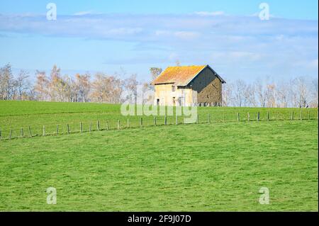 Wunderschöne, üppige grüne Umgebung mit einem kleinen Haus in einem landwirtschaftlichen Land mit erfrischender Atmosphäre Stockfoto