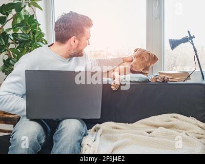 Gutaussehender Mann und ein bezaubernder Welpe. Nahaufnahme, drinnen. Studio-Foto, weiß. Konzept der Pflege, Erziehung, Gehorsamsausbildung und der Erziehung von Haustieren Stockfoto