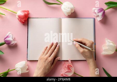 Frauenhand in offenem, leerem Notizbuch auf rosa Hintergrund mit Rahmen aus bunten Tulpen. Wunschliste. Platz für Text. Flach liegend, Draufsicht Stockfoto