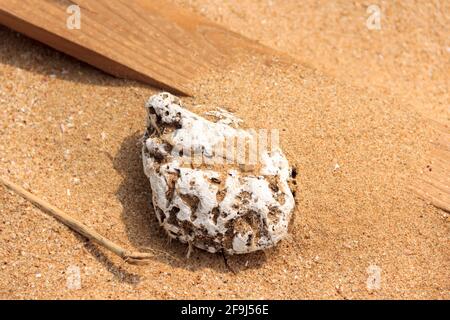 Ein weißer Felsen und ein paar andere Müll am Strand in Hongkong. Stockfoto