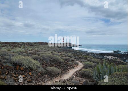 Das Naturschutzgebiet mit endemischer Flora, die in den dürden vulkanischen Badlands um das Leuchtturm wächst, bekannt als Faro de la Rasca Palm Mar Stockfoto