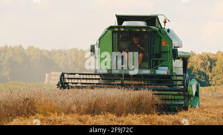 Warschau, Polen 10.08.2020 - Landwirt fährt den Mähdrescher in einem Weizenfeld. Strohschüttler, der bereit ist, die Ohren reifer Weizenfrüchte zu schneiden und zu dreschen. Bäume können durch die Staubwolke gesehen werden. Stockfoto