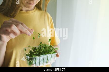 Frau, die einen Plastikbehälter mit essbaren Brokkoli-Sprossen hält. Microgreens-Konzept Stockfoto