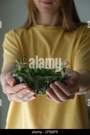 Frau, die einen Plastikbehälter mit essbaren Brokkoli-Sprossen hält. Microgreens-Konzept Stockfoto