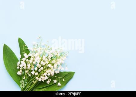 Bouquet von Lilie der Täler auf hellblauem Hintergrund. Ansicht von oben, Platz für Text kopieren Stockfoto