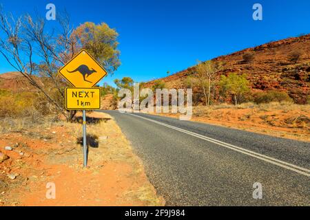Warnschild für Kangaroo Crossing: Fahren Sie entlang des Northern Territory, Red Centre, Australien. Zentralaustralische Landschaft. Larapinta fahren Sie nach Alice Springs Stockfoto