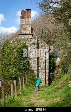 Die besten Wanderungen in Devon, die besten Wanderungen in Devon, teign Valley, landschaftlich schöner Wander- oder Wanderweg, Wälder, Flüsse und sanfte und sanfte Hügel. Stockfoto