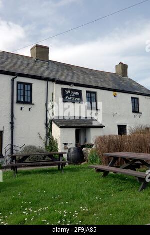 Pflow and Harrow Public House, Monknash, Wale of Glamorgan, South Wales. Stockfoto