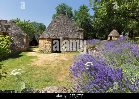 Lavendel erhellt die Szene in Les Cabanes du Breuil, Dordogne, Frankreich Stockfoto