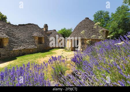 Lavendel erhellt die Szene in Les Cabanes du Breuil, Dordogne, Frankreich Stockfoto