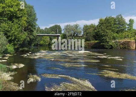 Wasserfüße ziert den Fluss Vézère, der durch Montignac, Dordogne, Frankreich, fließt Stockfoto