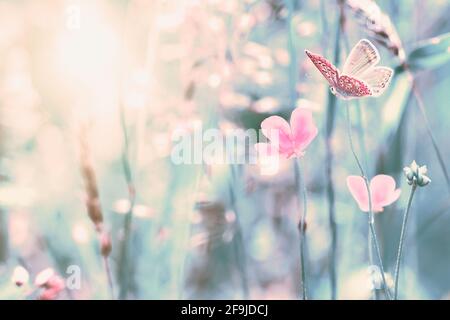 Flache Tiefe wunderschöne Wildblumen, Schmetterling auf der verträumten Wiese. Zarte Retro-Farben in Pastelltönen. Makrohintergrund. Grußkartenvorlage. Cop Stockfoto