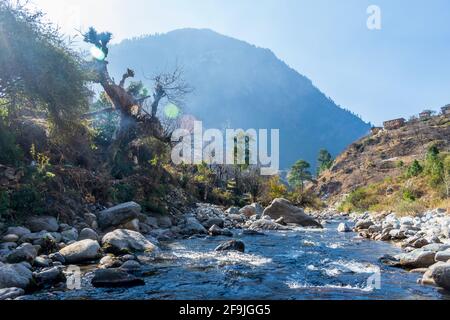 Ein Bergbach, Pekhri, Tirthan Valley, Himachal Pradesh, Indien Stockfoto