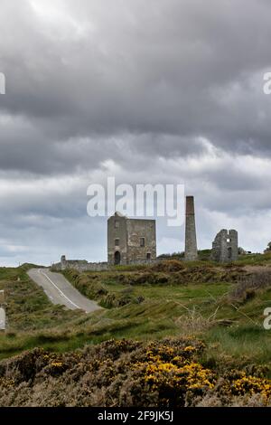 Frühling, Blumen und wolkig. Tankardstown. Copper Coast Geopark Stockfoto