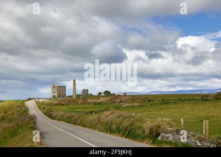 Frühling, Blumen und wolkig. Tankardstown. Copper Coast Geopark Stockfoto