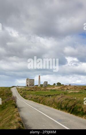 Frühling, Blumen und wolkig. Tankardstown. Copper Coast Geopark Stockfoto