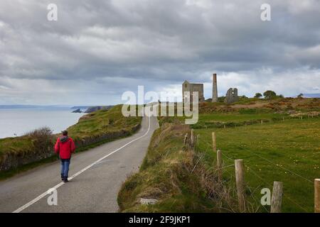 Frühling, Blumen und wolkig. Tankardstown. Copper Coast Geopark Stockfoto