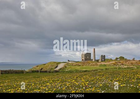 Frühling, Blumen und wolkig. Tankardstown. Copper Coast Geopark Stockfoto