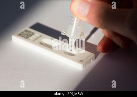 Eine Hand, die eine Probe und Testlösung auf den Lateral Flow Test tropft LFT LFD (chinesisch hergestellt) Lateral Flow Device des Unternehmens Innova: Testing for COVID 19 Coronavirus Antigen Testing. (123) Stockfoto