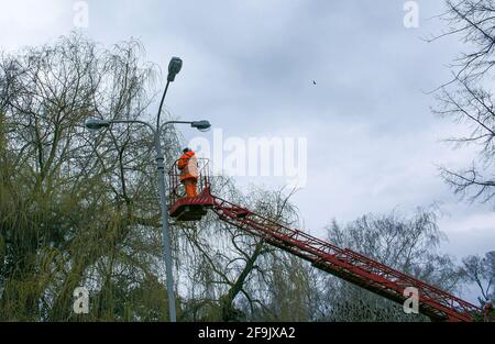 Ein kommunaler Arbeiter in Schutzkleidung, der Glühbirnen in einer Straßenlampe ersetzt. Ein Arbeiter, der eine Straßenlampe eines Eimerlifts repariert. Stockfoto