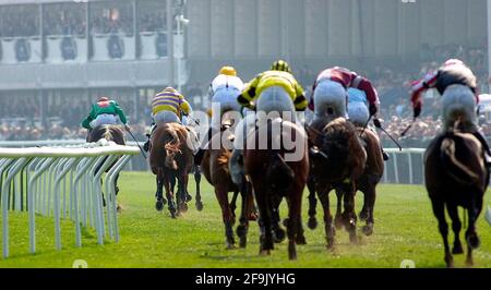 RACING AINTREE 2. TAG 5/5/2002 MARTELL TOPHAM CHASE SIEGER SEINE ZEIT FÜR EINE VERÄNDERUNG (LINKS) NACH DEM LETZTEN BILD DAVID ASHDOWN.RACING AINTREE Stockfoto