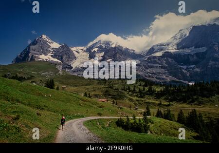 Schweiz Schweizer Alpen Berner Oberland Wandern auf einer Swuiss-Wiese unter dem Eiger, Mönch und Jungfrau Stockfoto