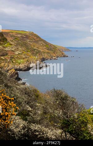 Polperro Coast Cornwall Stockfoto