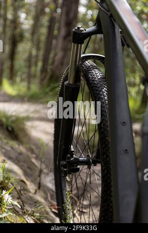 Details des Radfahrrads eines Fahrrads, das sich an einem sonnigen Tag mitten in einem Wald befindet, Outdoor-Aktivitäten Stockfoto