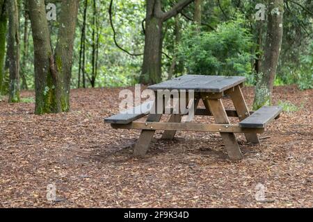 Ein rustikaler Holztisch mit Bänken in der Mitte von Ein Wald im Herbst Natur und Picknick-Möbel Stockfoto