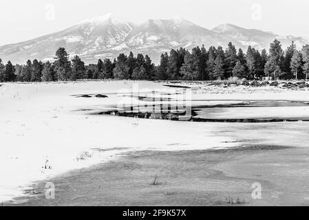 Schwarzweiß-Landschaftsfoto eines gefrorenen Kachina Wetlands Preserve in Flagstaff, Arizona, mit dem San Francisco Mountain im Hintergrund. Stockfoto