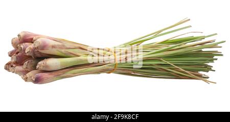 Einzelobjekt von Lemongrass isoliert auf weißem Hintergrund Stockfoto