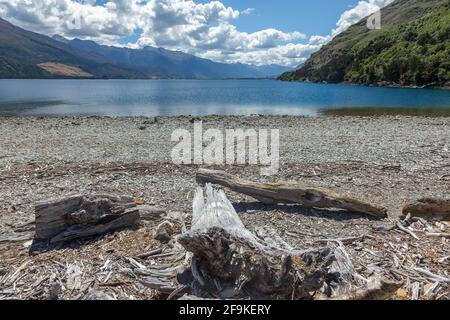 Treibholz am Ufer des Lake Wanaka in Neuseeland Stockfoto