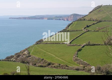 Blick vom South West Coastal Path, der über Felder zur Salcombe-Mündung in der Nähe von Sidmouth, Devon führt. Stockfoto