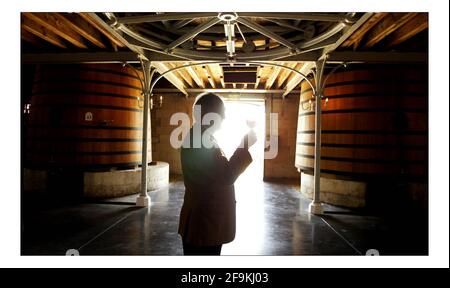 Weinberge in der Medoc/ Bordeaux Gegend von Frankreich..... Chateau Pontet-Canet ...proprietor Alfred Tesseron im Bild David Sandison 6. April 2006 Stockfoto