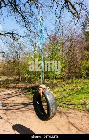 Kinderschaukel aus einem alten Gummireifen, an einem Baum auf einer Lichtung gehängt. England Stockfoto