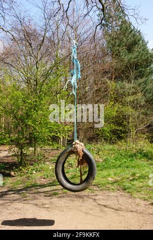 Kinderschaukel aus einem alten Gummireifen, an einem Baum auf einer Lichtung gehängt. England Stockfoto