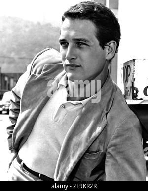 Paul Newman. Porträt des amerikanischen Schauspielers und Unternehmers Paul Leonard Newman (1925-2008), Studio-Werbeaufnahme für 'The Silver Chalice', 1954 Stockfoto