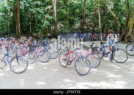 COBA, MEXIKO - 1. MÄRZ 2016: Fahrräder können in den Ruinen der Maya-Stadt Coba, Mexiko, gemietet werden Stockfoto