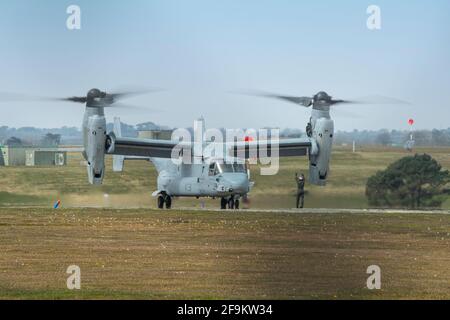 Bell Boeing V-22 Osprey, Bell Boeing V-22 Osprey beim Start in culdrose, Hubschrauber mit Langstreckenflugzeugen mit hoher Geschwindigkeit. Der Osprey ist das weltweit erste Tiltrotor-Produktionsflugzeug, das aufgrund der Herausforderungen seines Tiltrotor-Designs als gefährlich und unzuverlässig gilt. ,Kredit: kathleen white/Alamy Live News Stockfoto