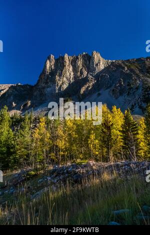 Die Berge erheben sich dramatisch über dem Rock Creek Valley in den Beartooth Mountains, Beartooth Highway, Montana, USA Stockfoto