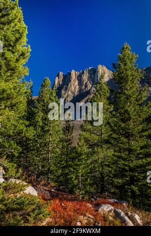 Die Berge erheben sich dramatisch über dem Rock Creek Valley in den Beartooth Mountains, Beartooth Highway, Montana, USA Stockfoto