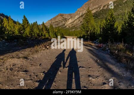 Lange Schatten von Liebhabern entlang der Rock Creek Road in den Beartooth Mountains, Beartooth Highway, Montana, USA Stockfoto