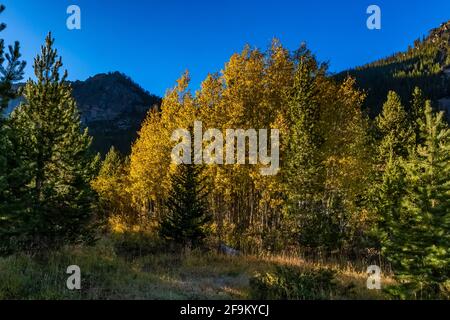 Die Berge erheben sich dramatisch über dem Rock Creek Valley in den Beartooth Mountains, Beartooth Highway, Montana, USA Stockfoto