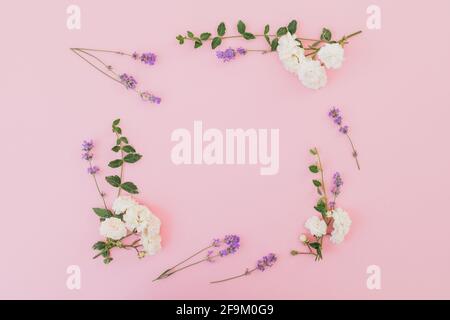 Floraler Rahmen aus weißen Rosen und Lavendelblüten auf rosa Hintergrund. Flach liegend, Draufsicht Stockfoto